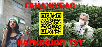 PSILOCYBIN Бугуруслан