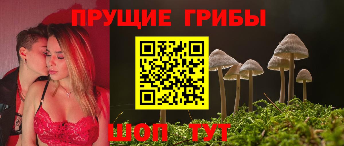 Галлюциногенные грибы GOLDEN TEACHER Серов