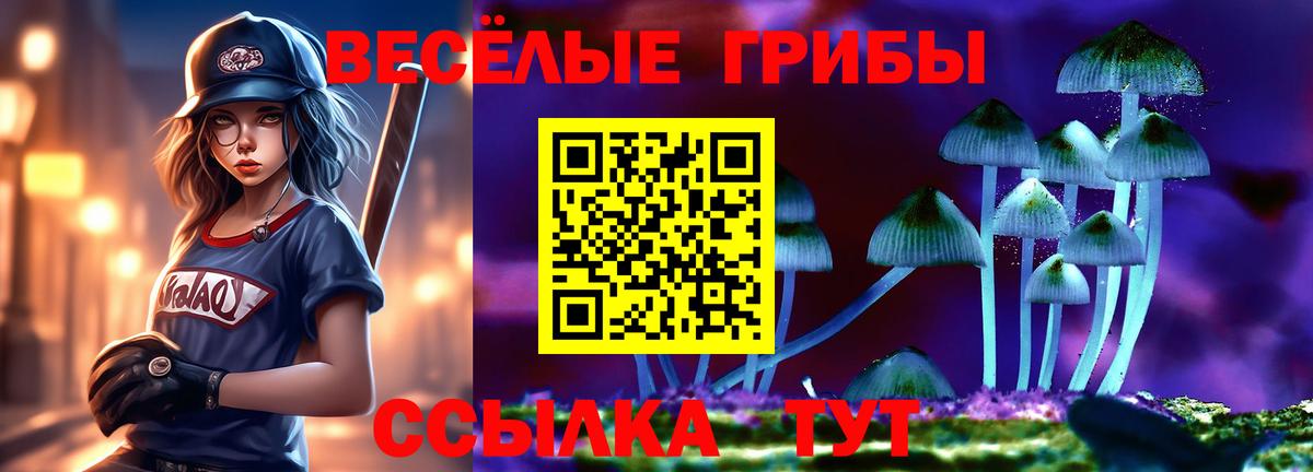 Серов  Псилоцибиновые грибы Cubensis  даркнет сайт  Вход с VPN 